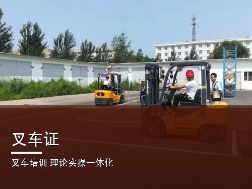 叉车证（N1）官网查询入口（最新）