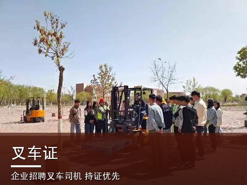 2026年叉车证（N1）报考官网入口