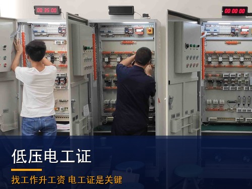 2026年低压电工证报名查询系统